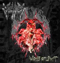 Despondency (GER) : Womb of Shit (Promo)